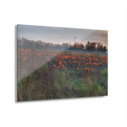 U R There Photography Five Lakes Pumpkins Rustic Farmhouse Acrylic Wall Print