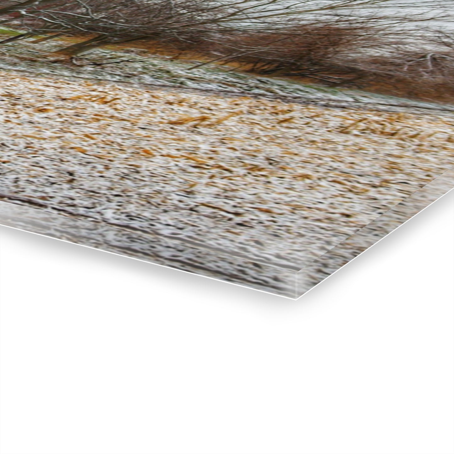 U R There Photography Hough Road Hidden Winter Red II Rustic Farmhouse Acrylic Wall Print