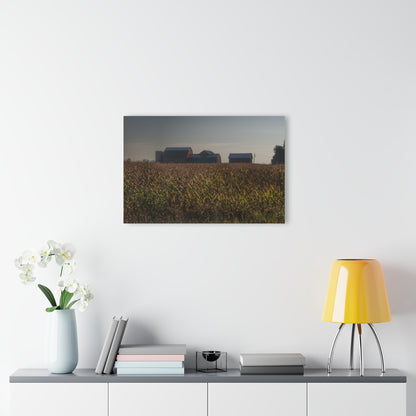U R There Photography Slattery Road Farm and Cornfield I Rustic Farmhouse Acrylic Wall Print