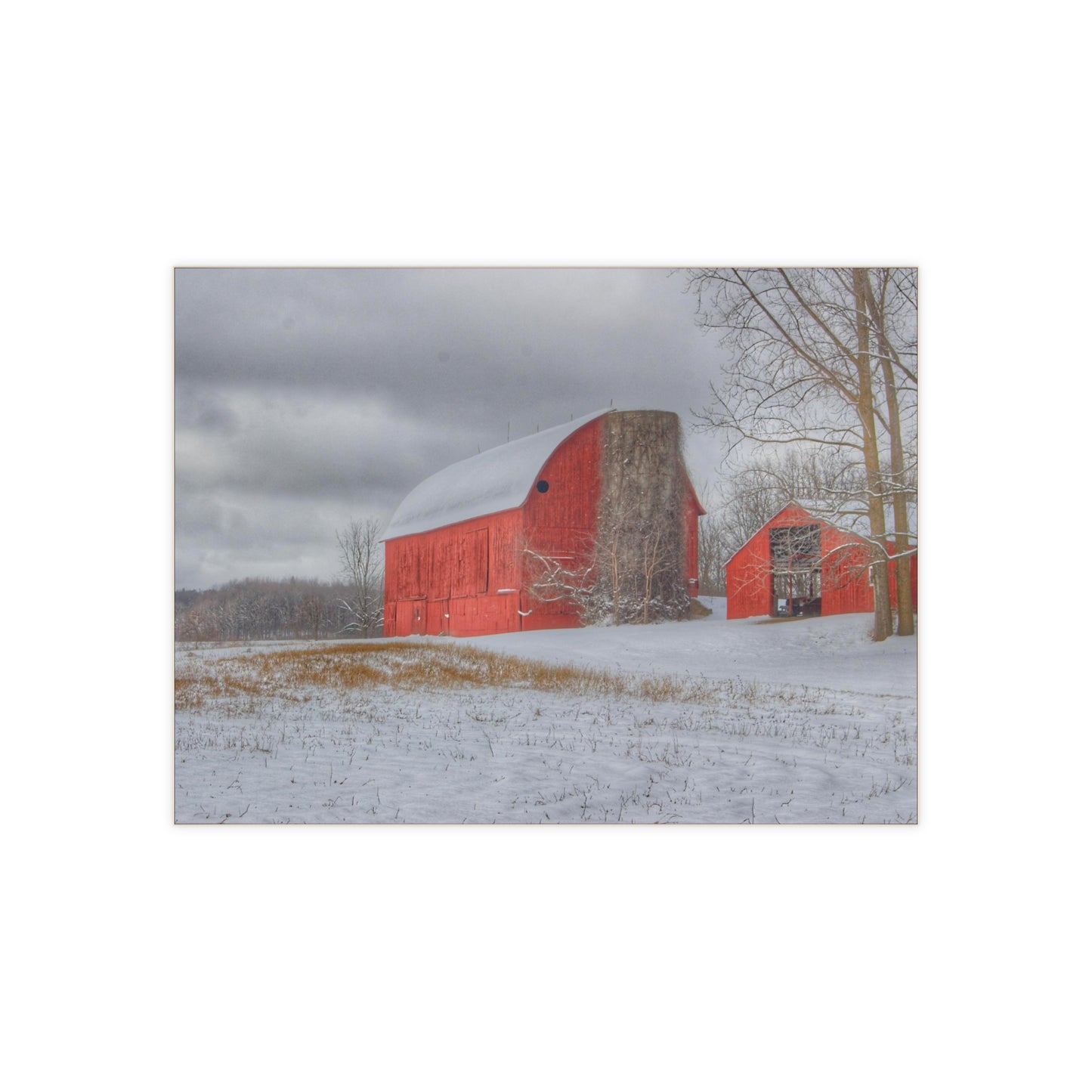 U R There Photography Catlin Reds in Winter II Rustic Farmhouse Decorative Ceramic Tile