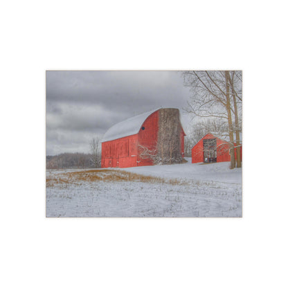 U R There Photography Catlin Reds in Winter II Rustic Farmhouse Decorative Ceramic Tile