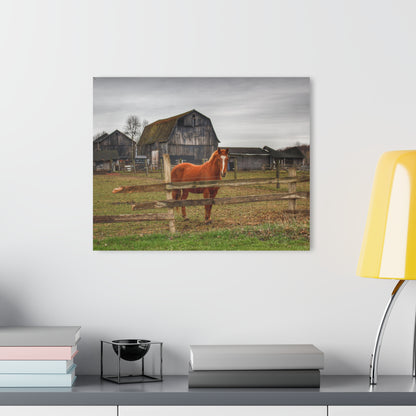U R There Photography South Summers Road Old Grey and Caramel IV Rustic Farmhouse Acrylic Wall Print