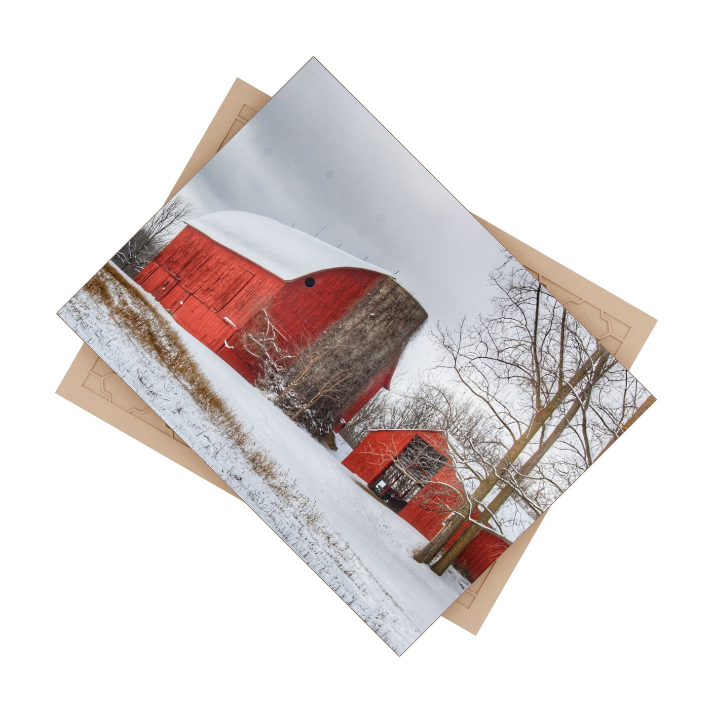 U R There Photography Catlin Reds in Winter I Rustic Farmhouse Decorative Ceramic Tile