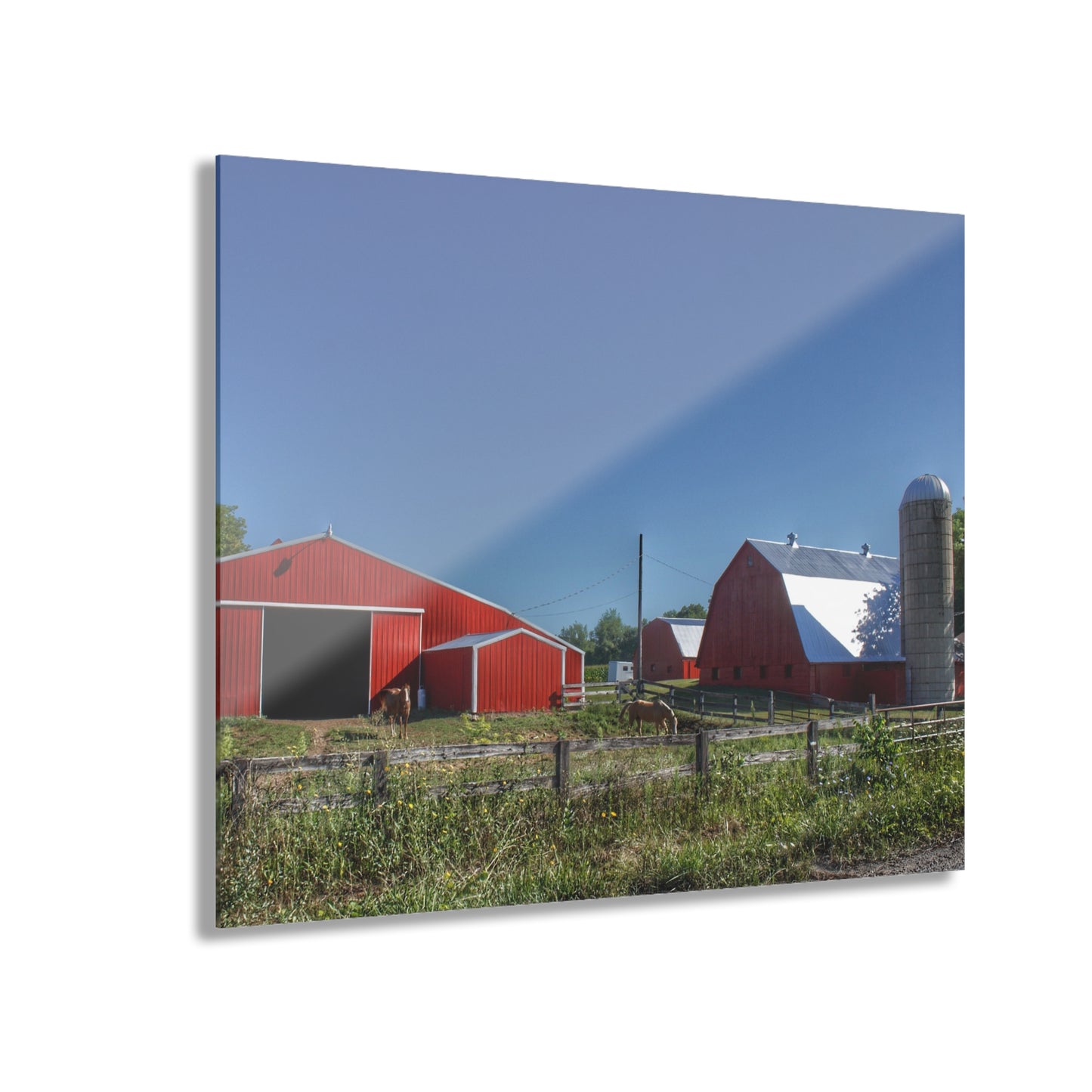 U R There Photography Mount Morris Road Farm and Horse Rustic Farmhouse Acrylic Wall Print