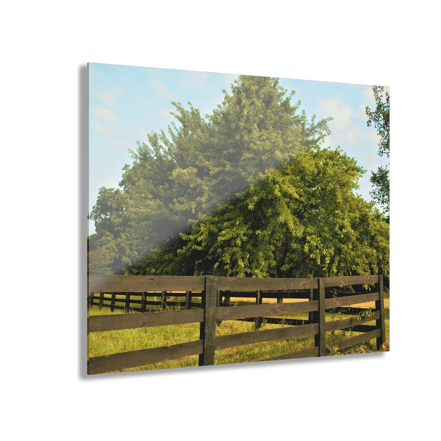 U R There Photography Country Fence and Tree in Metamora Rustic Farmhouse Acrylic Wall Print