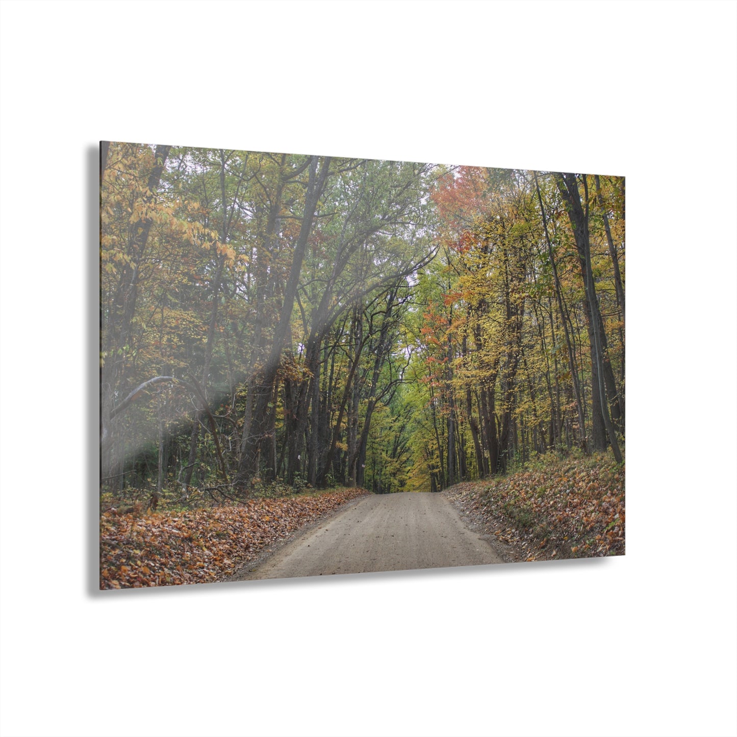 U R There Photography Country Roads in Dryden III Rustic Farmhouse Acrylic Wall Print