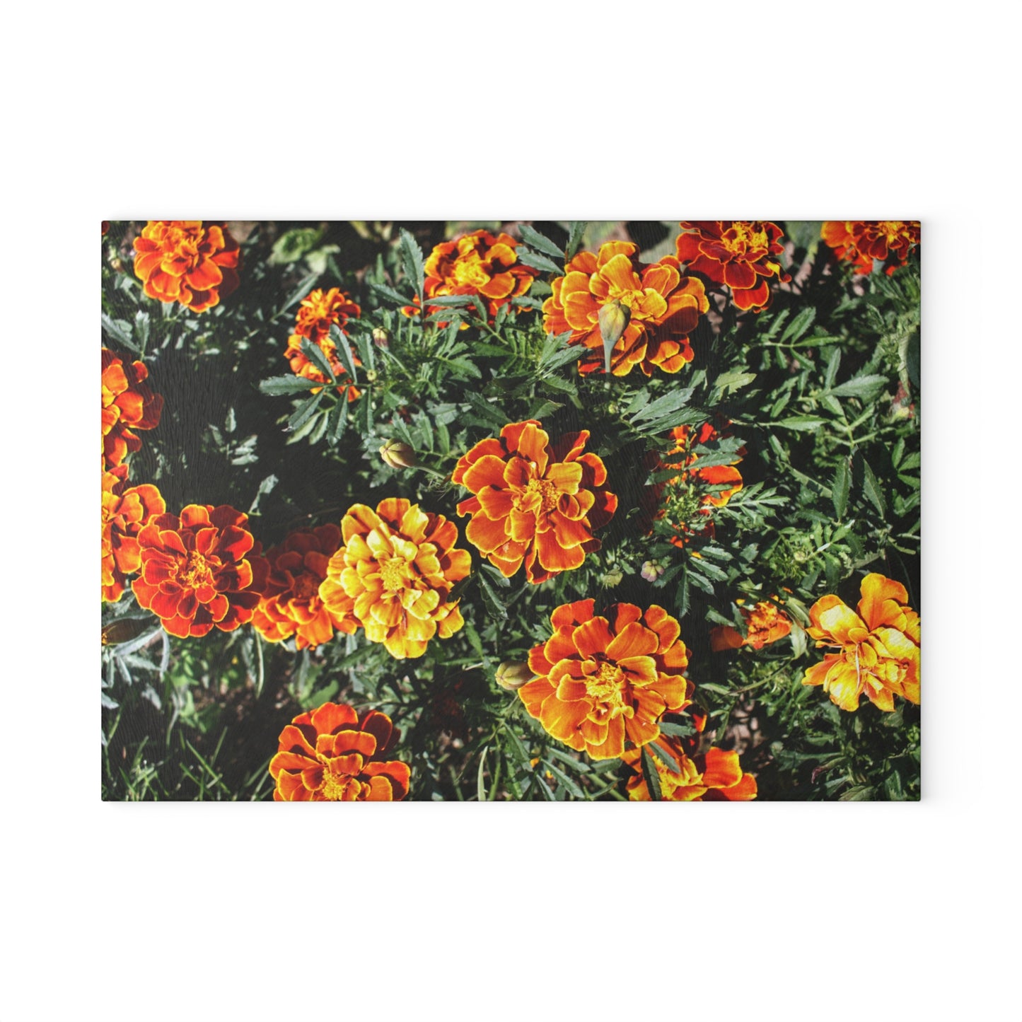 U R There Photography Marigolds Rustic Farmhouse Tempered-Glass Cutting Board