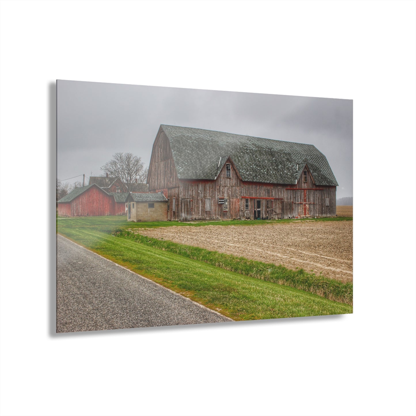 U R There Photography Roedel Roadside Reds I Rustic Farmhouse Acrylic Wall Print