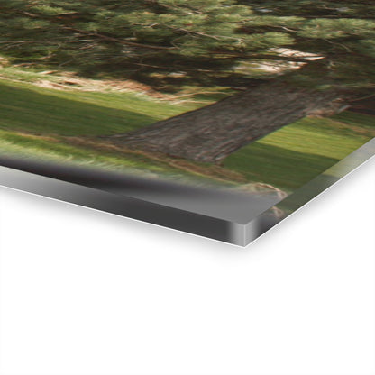 U R There Photography McAlpine Hidden Red Rustic Farmhouse Acrylic Wall Print