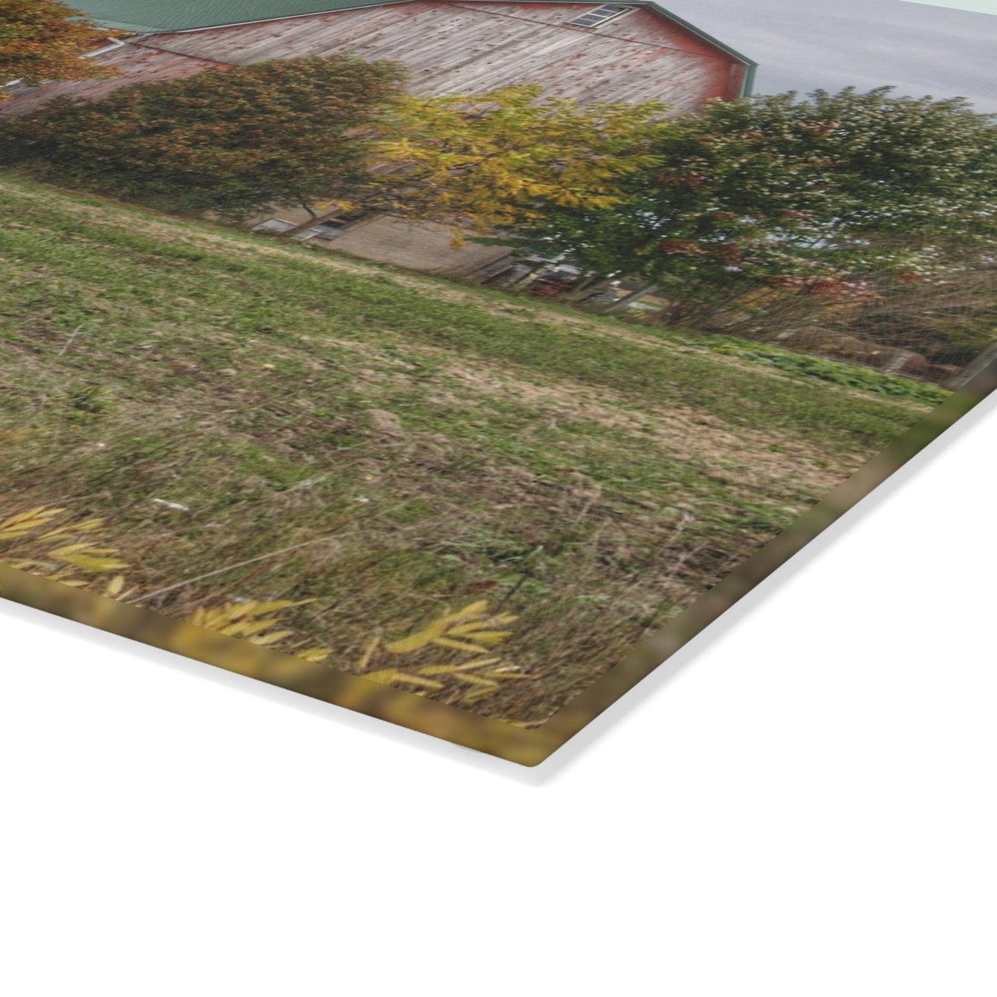 U R There Photography Elmwood Road Red II Rustic Farmhouse Tempered-Glass Cutting Board