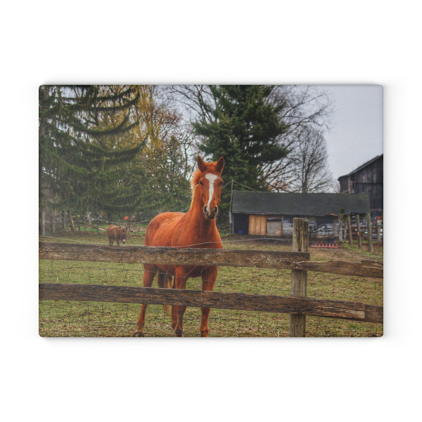 U R There Photography South Summers Road Old Grey and Caramel I Rustic Farmhouse Tempered-Glass Cutting Board