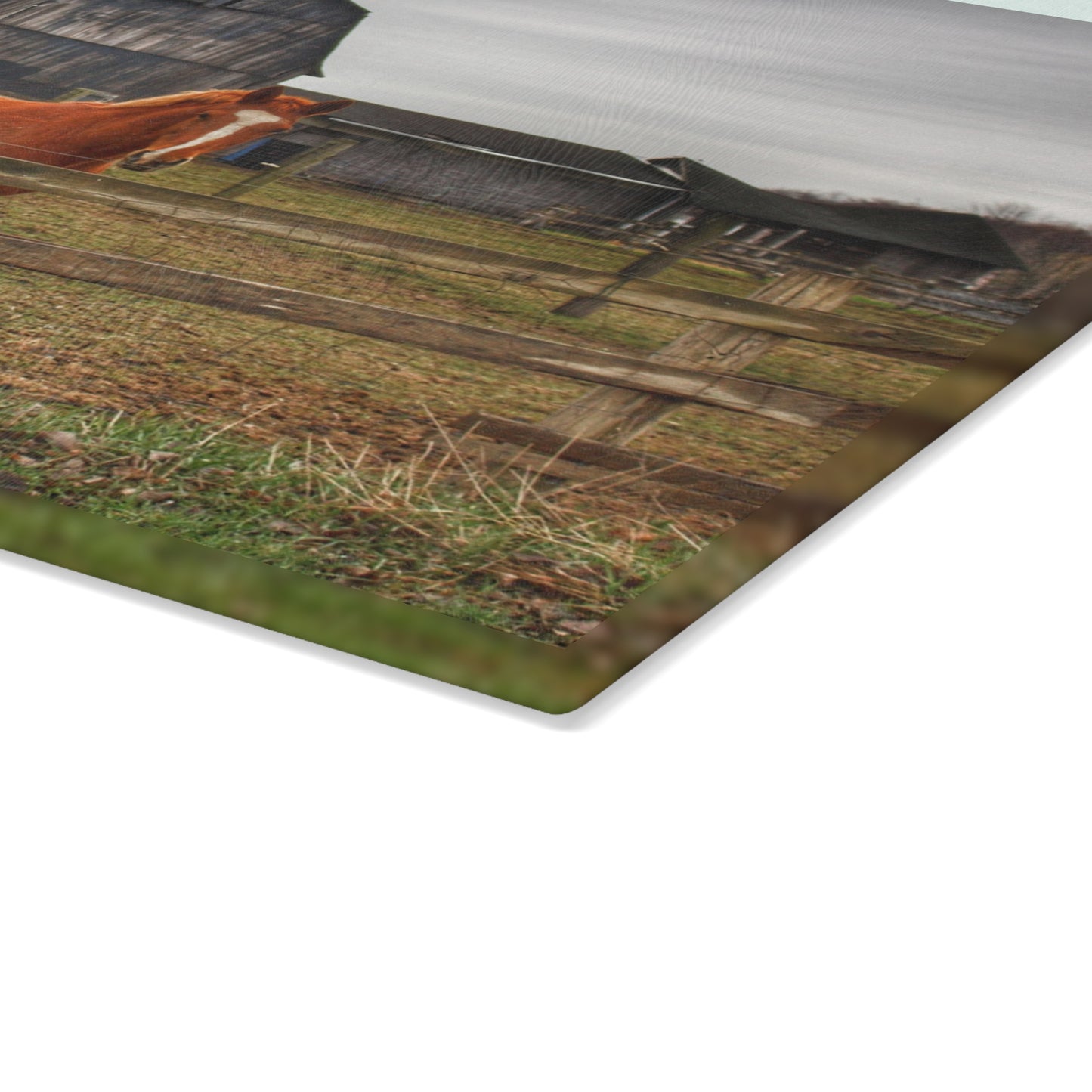 U R There Photography South Summers Road Old Grey and Caramel IV Rustic Farmhouse Tempered-Glass Cutting Board