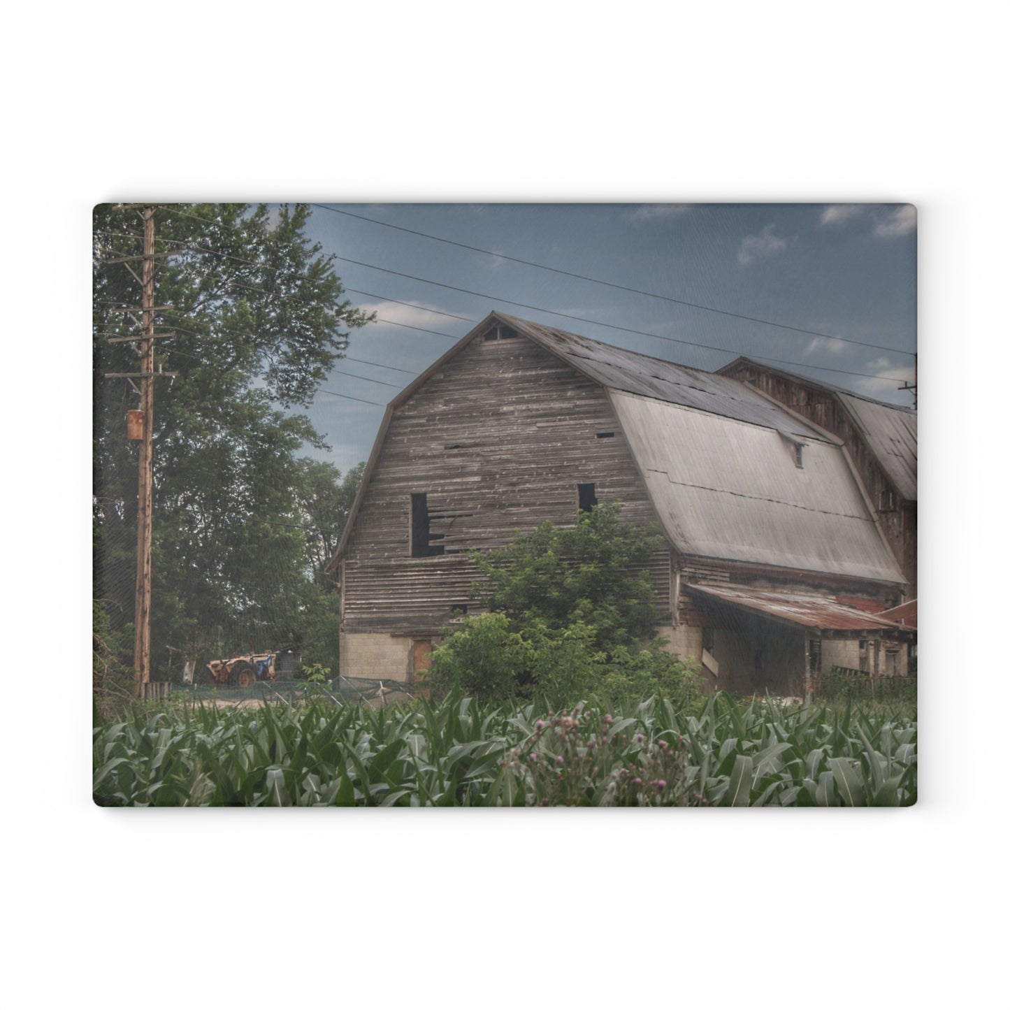 U R There Photography Murphy Lake Road Grey II Rustic Farmhouse Tempered-Glass Cutting Board