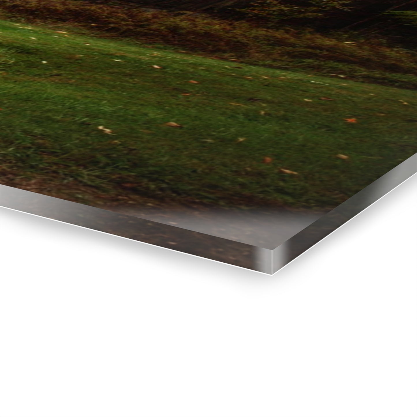 U R There Photography Day of Grey Rustic Farmhouse Acrylic Wall Print