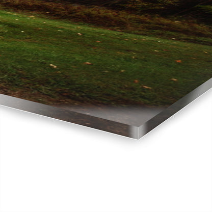 U R There Photography Day of Grey Rustic Farmhouse Acrylic Wall Print