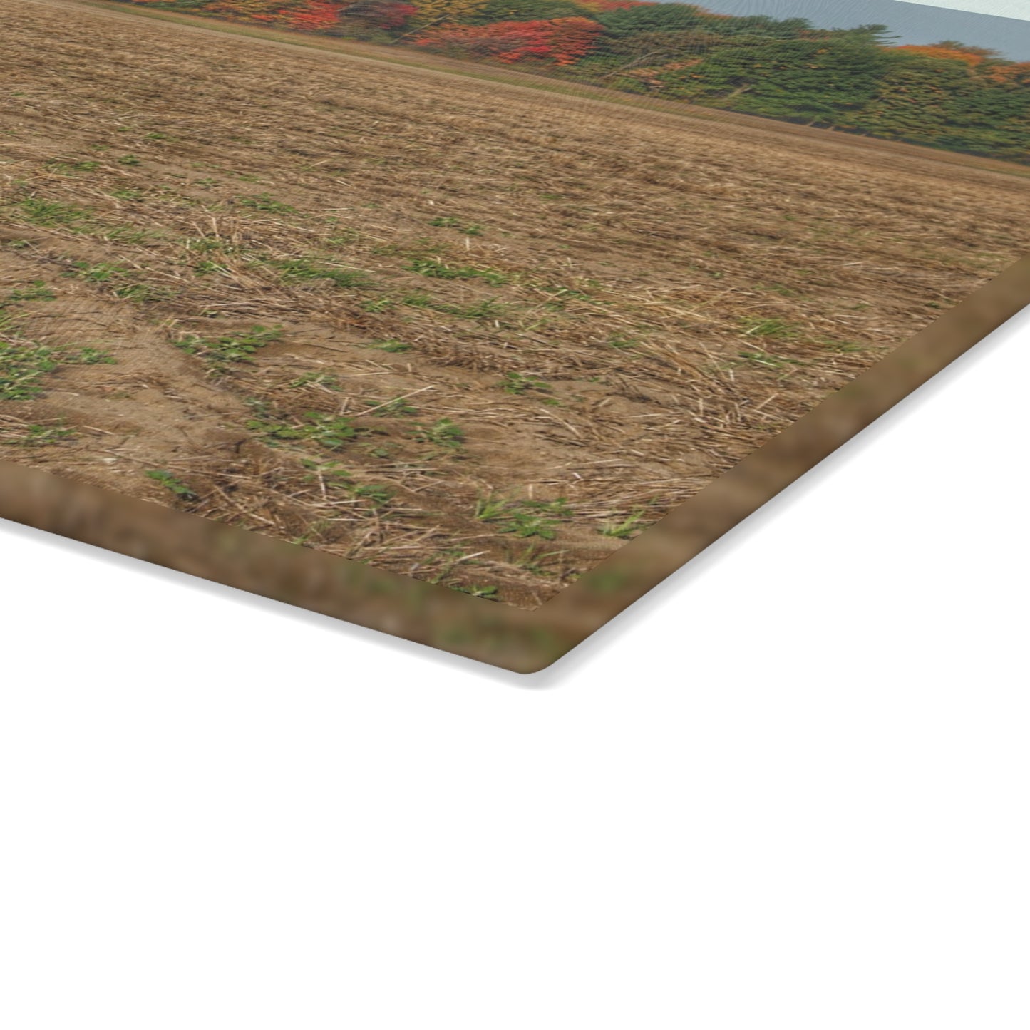 U R There Photography Fall on Murphy Lake III Rustic Farmhouse Tempered-Glass Cutting Board