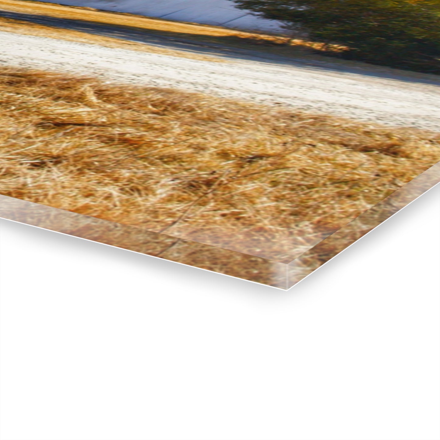 U R There Photography Indian Trail Rusted Reds II Rustic Farmhouse Acrylic Wall Print