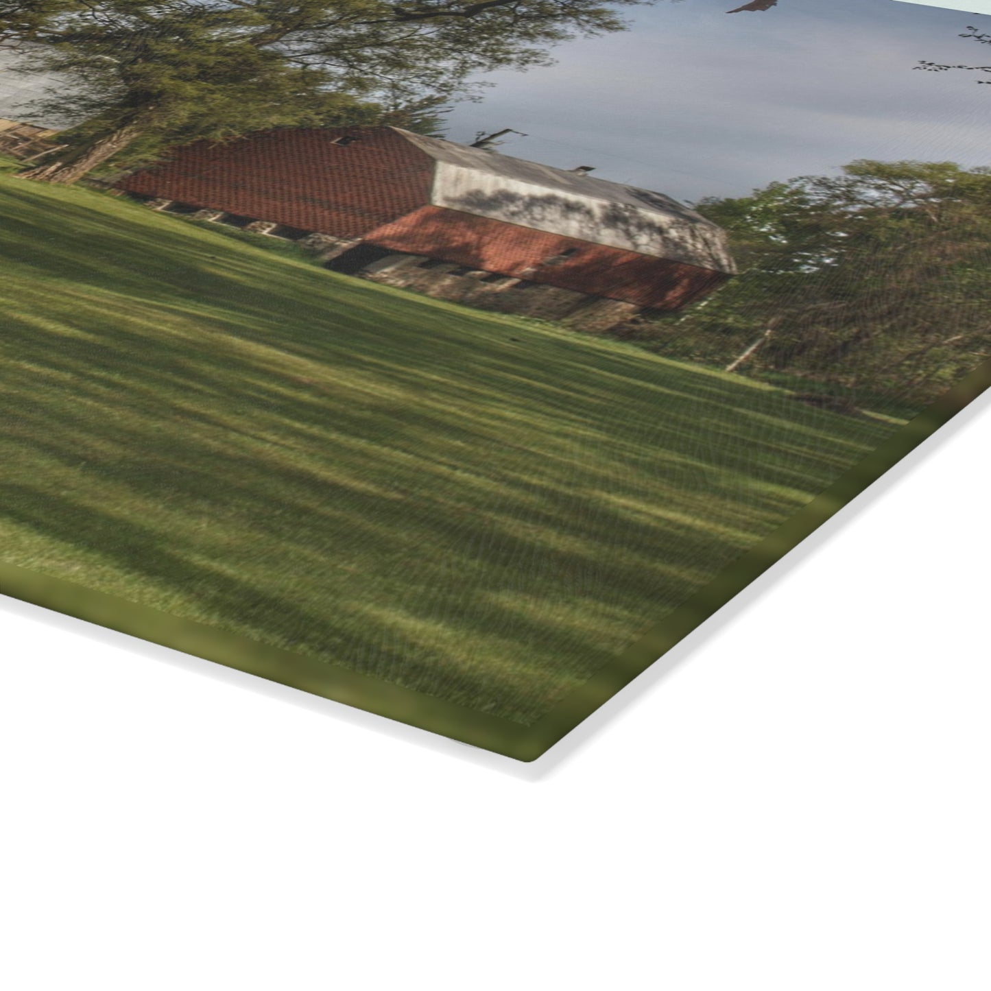 U R There Photography Clark Park Road Reds Rustic Farmhouse Tempered-Glass Cutting Board