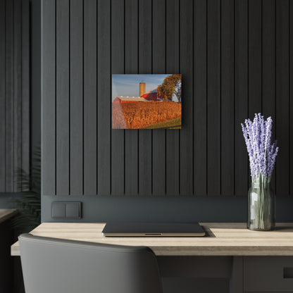 U R There Photography Lake Pleasant Reds I Rustic Farmhouse Acrylic Wall Print