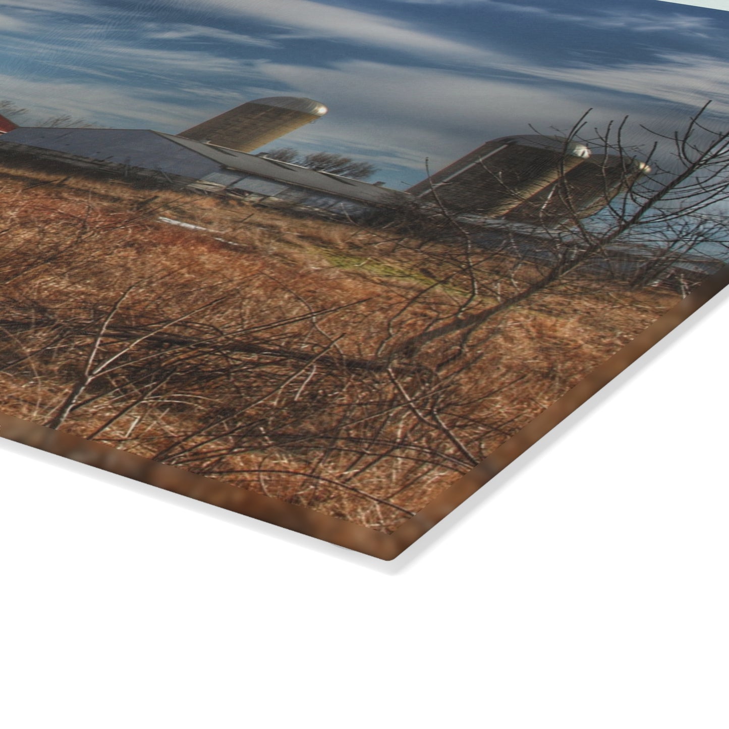 U R There Photography Newark Road White II Rustic Farmhouse Tempered-Glass Cutting Board