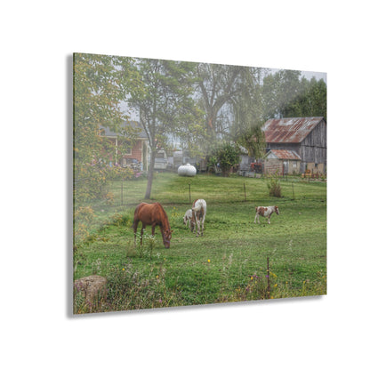U R There Photography Front Yard Ponies Rustic Farmhouse Acrylic Wall Print