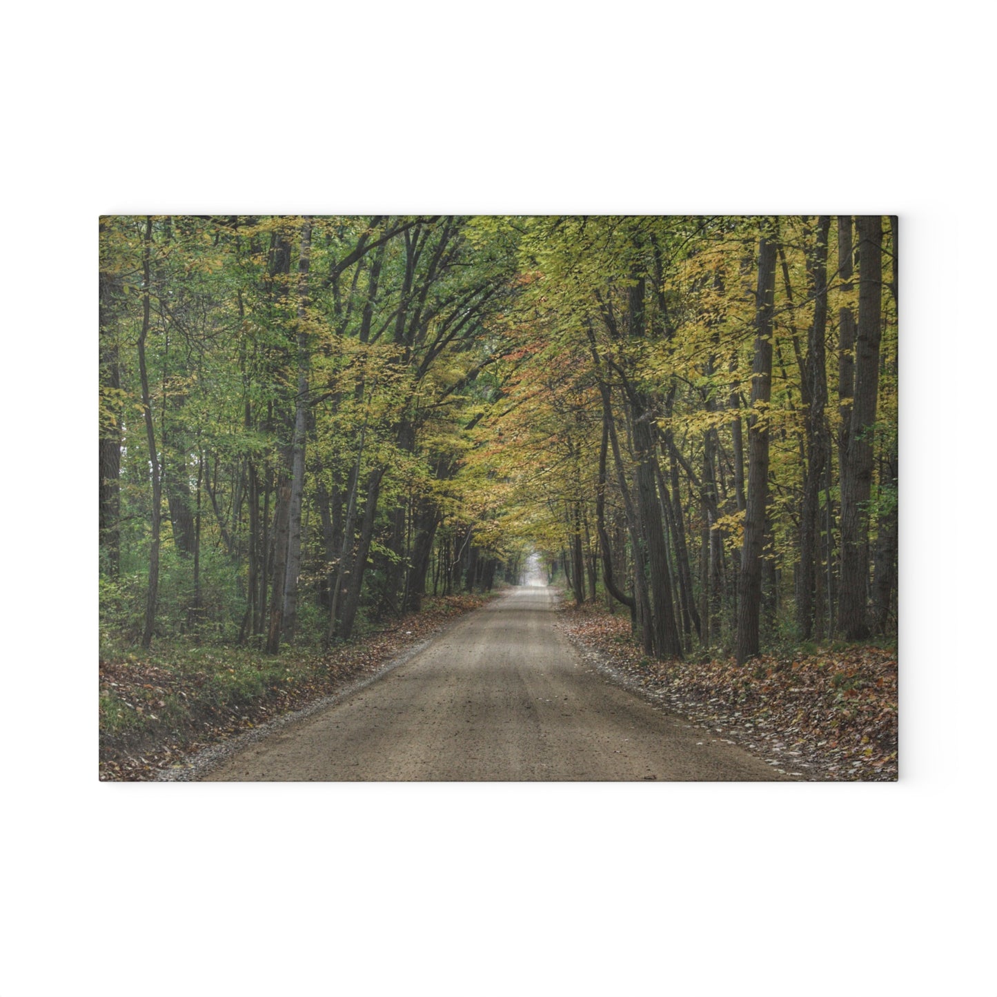 U R There Photography Country Roads in Dryden IV Rustic Farmhouse Tempered-Glass Cutting Board