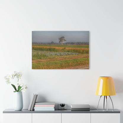 U R There Photography Cabbage and Pumpkin Patch Rustic Farmhouse Acrylic Wall Print