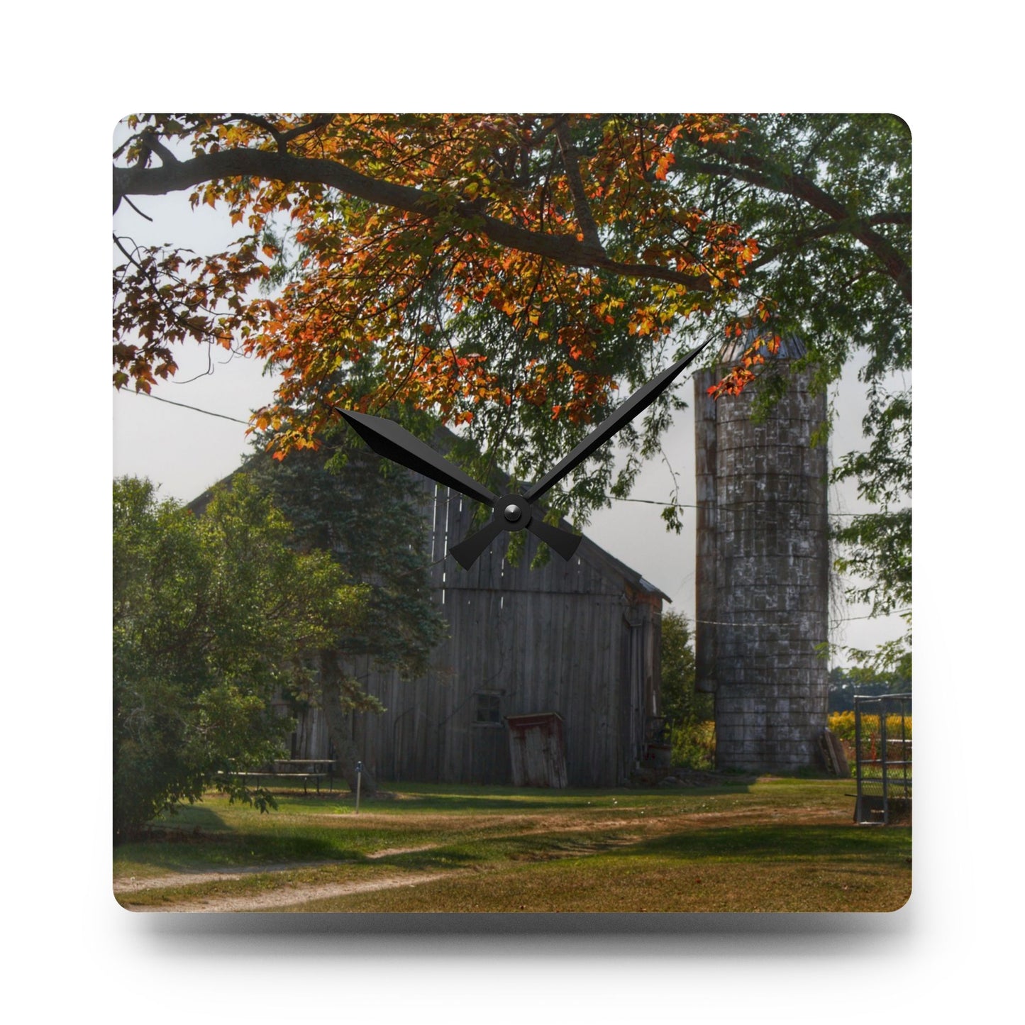 U R There Photography Hidden Grey of Tuscola Rustic Farmhouse Acrylic Analog Wall Clock