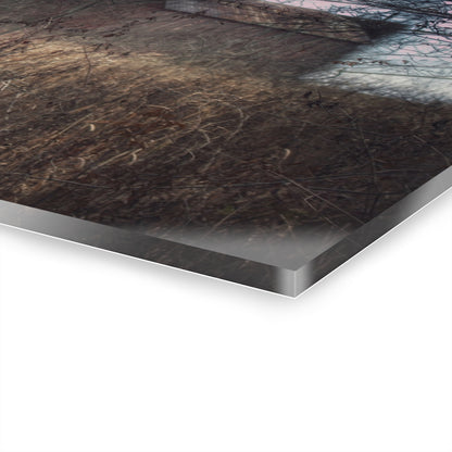 U R There Photography Mayville Hidden Barn I Rustic Farmhouse Acrylic Wall Print