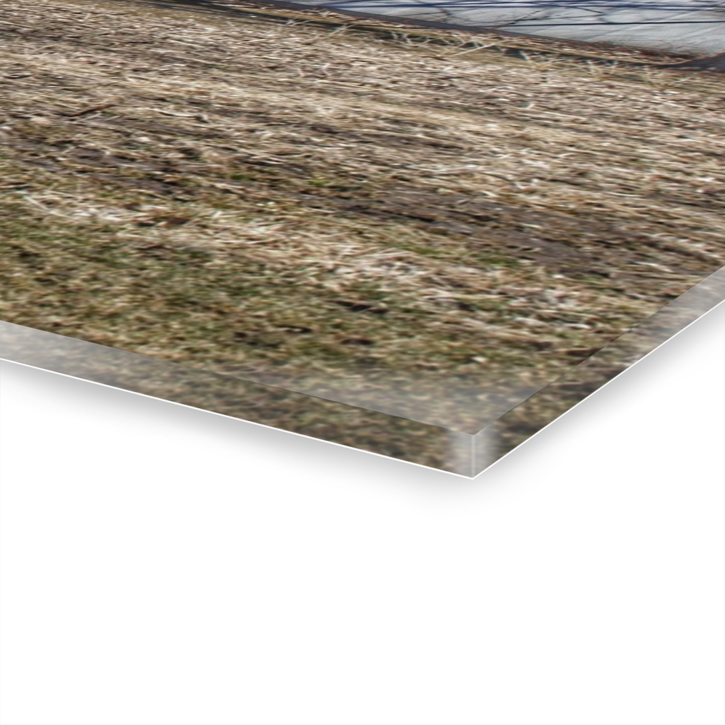 U R There Photography German Road Reds Rustic Farmhouse Acrylic Wall Print