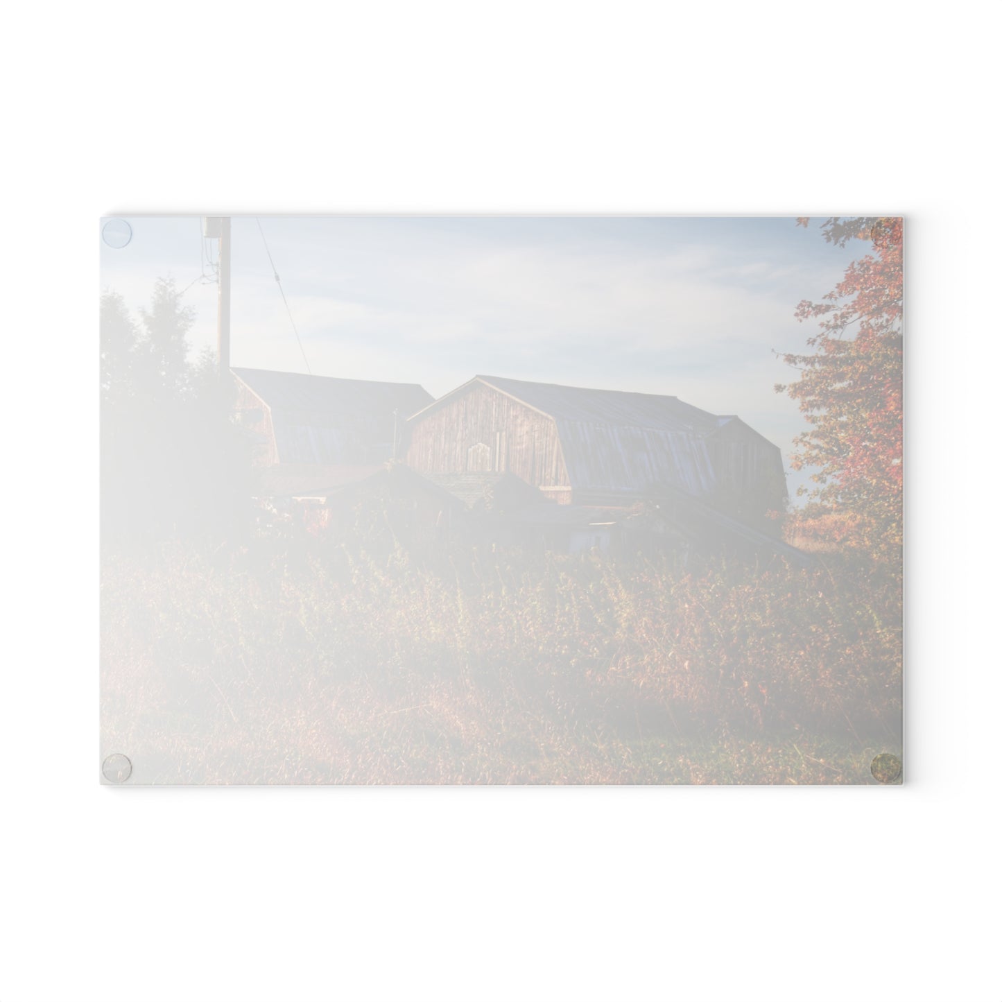 U R There Photography Montgomery Road Reds Rustic Farmhouse Tempered-Glass Cutting Board