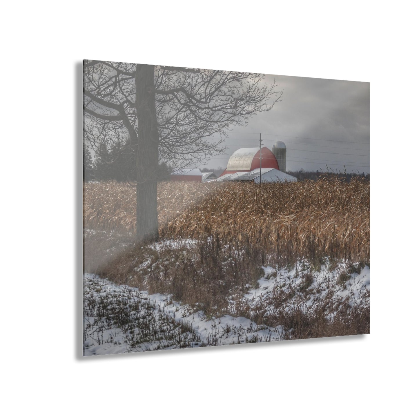U R There Photography Edward Road Red Rustic Farmhouse Acrylic Wall Print