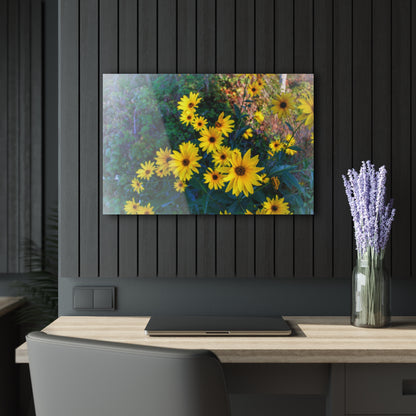U R There Photography Bursts of Gold Rustic Farmhouse Acrylic Wall Print 14 "x 11"