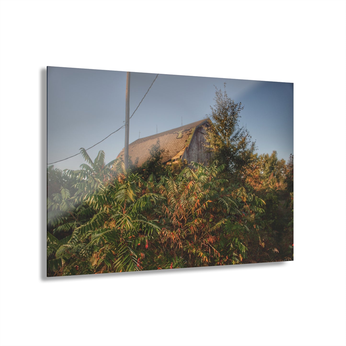 U R There Photography Hidden on Bearanger Road Rustic Farmhouse Acrylic Wall Print