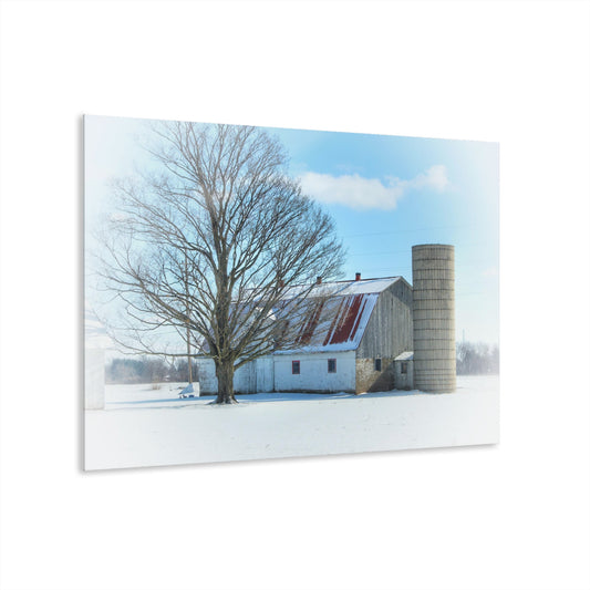 U R There Photography Barnes Road White Rustic Farmhouse Acrylic Wall Print