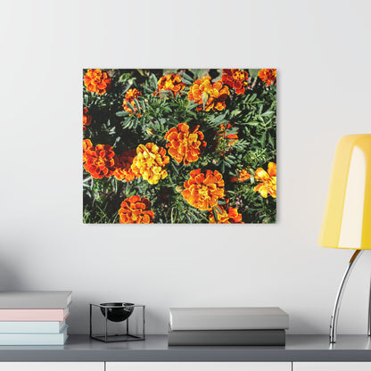 U R There Photography Marigolds Rustic Farmhouse Acrylic Wall Print