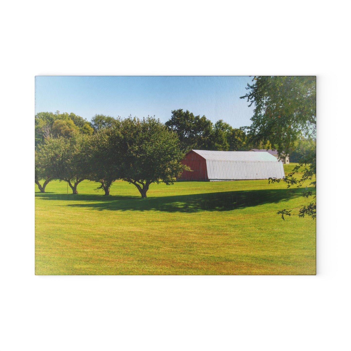 U R There Photography Lake Pleasant Road Hidden Quonset Rustic Farmhouse Tempered-Glass Cutting Board