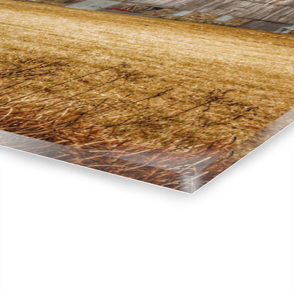 U R There Photography Laur Road Grey Rustic Farmhouse Acrylic Wall Print