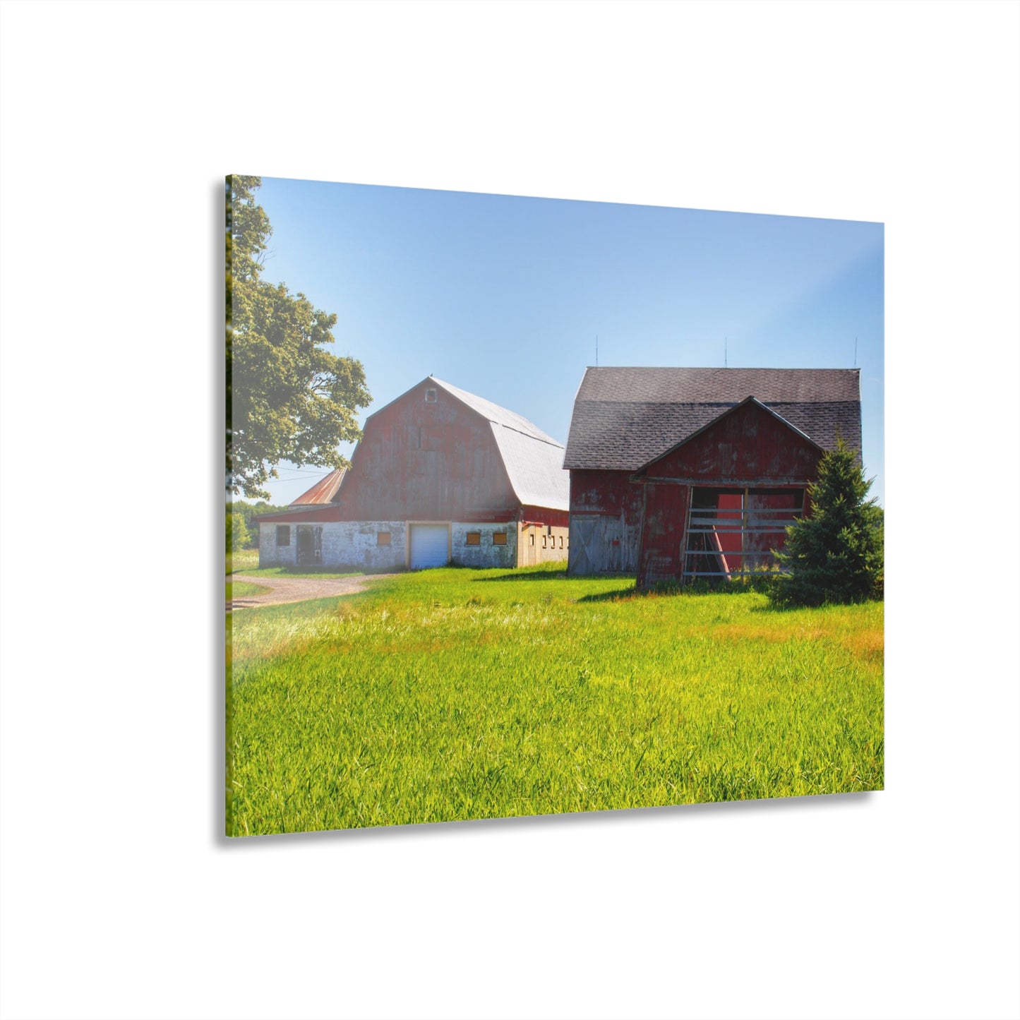 U R There Photography Atwell Road Trio Rustic Farmhouse Acrylic Wall Print