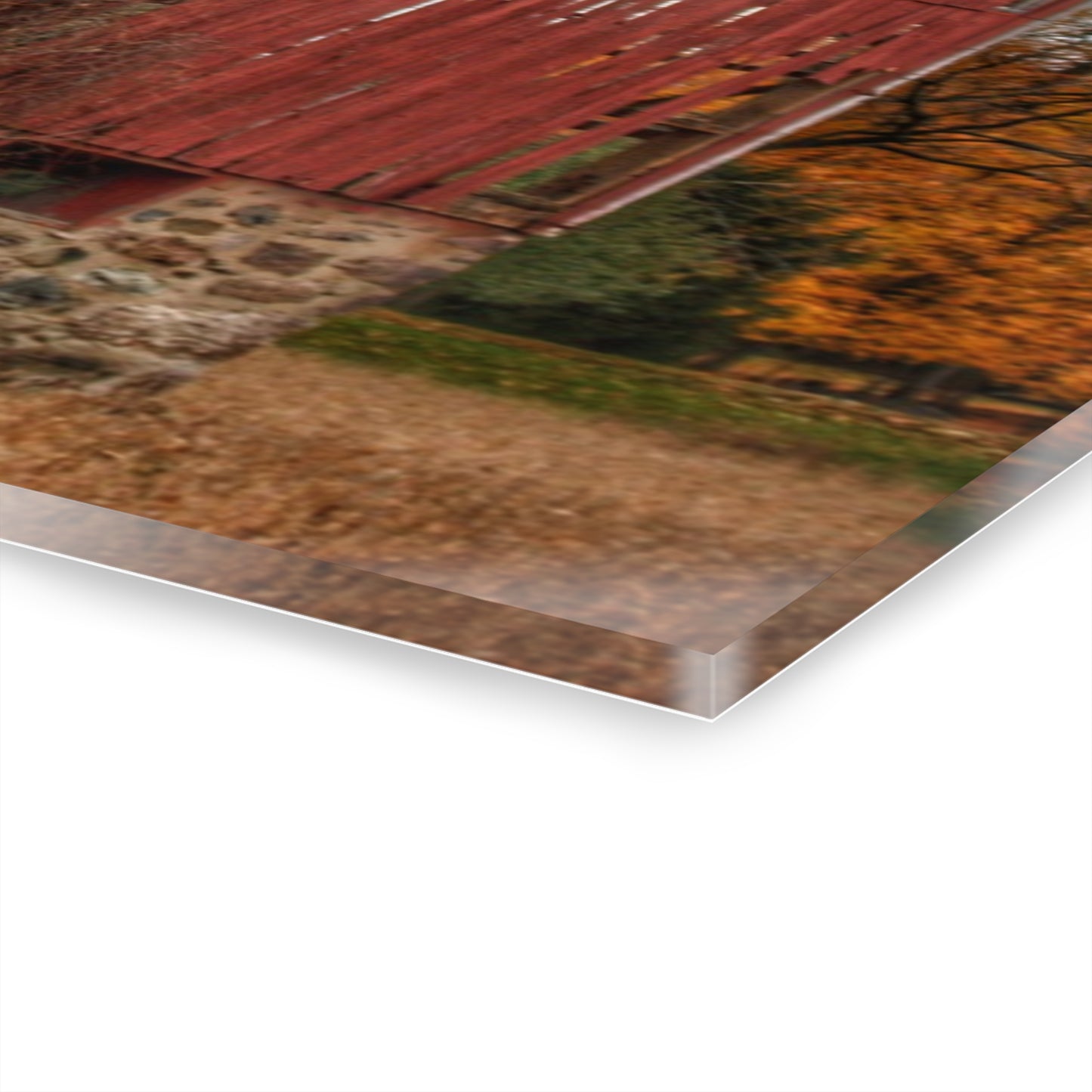 U R There Photography Laur Road Forgotten Red II Rustic Farmhouse Acrylic Wall Print