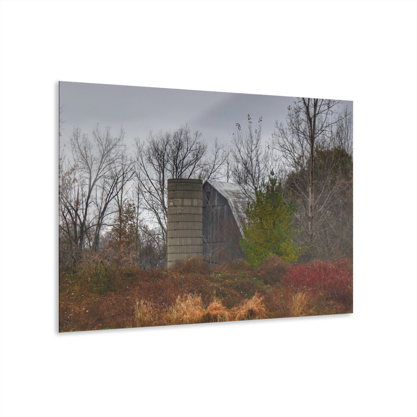 U R There Photography Freiberger Road Hidden Grey Rustic Farmhouse Acrylic Wall Print