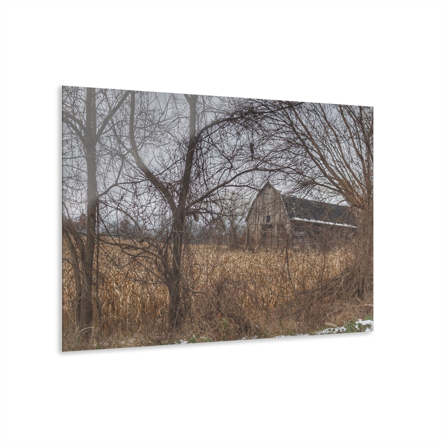 U R There Photography North Oxford Road Grey I Rustic Farmhouse Acrylic Wall Print