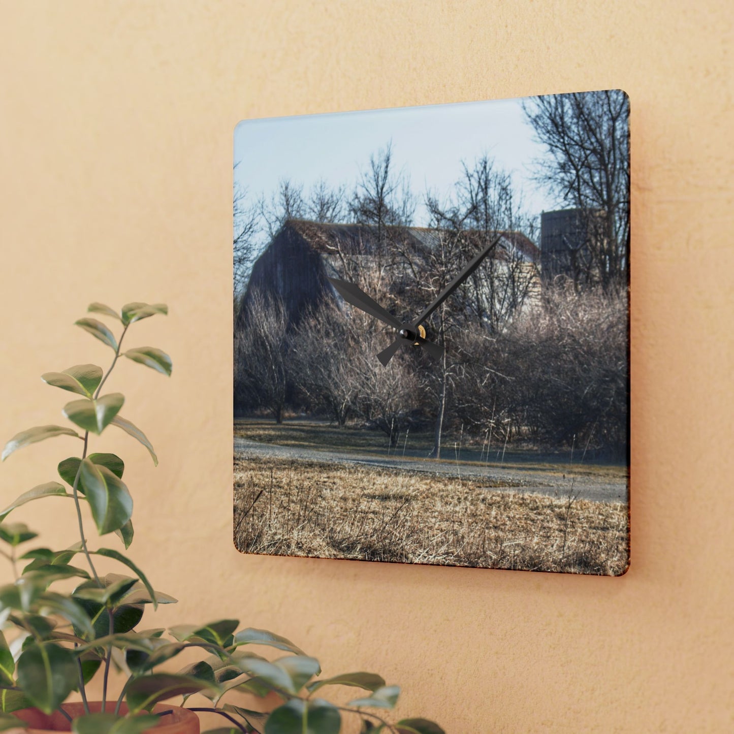 U R There Photography Weyer Road Hidden Rustic Farmhouse Acrylic Analog Wall Clock