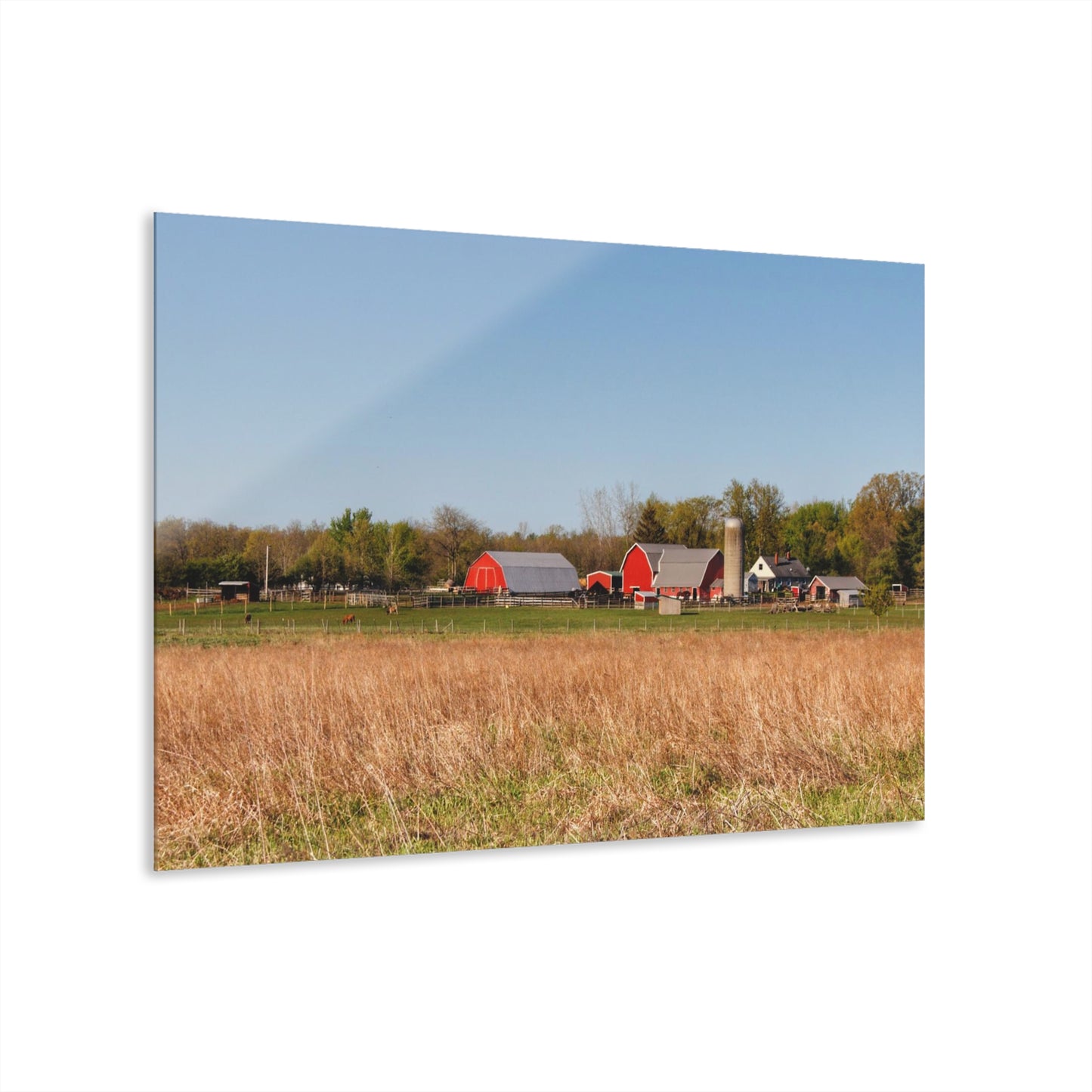 U R There Photography East Millington Road Farm Rustic Farmhouse Acrylic Wall Print