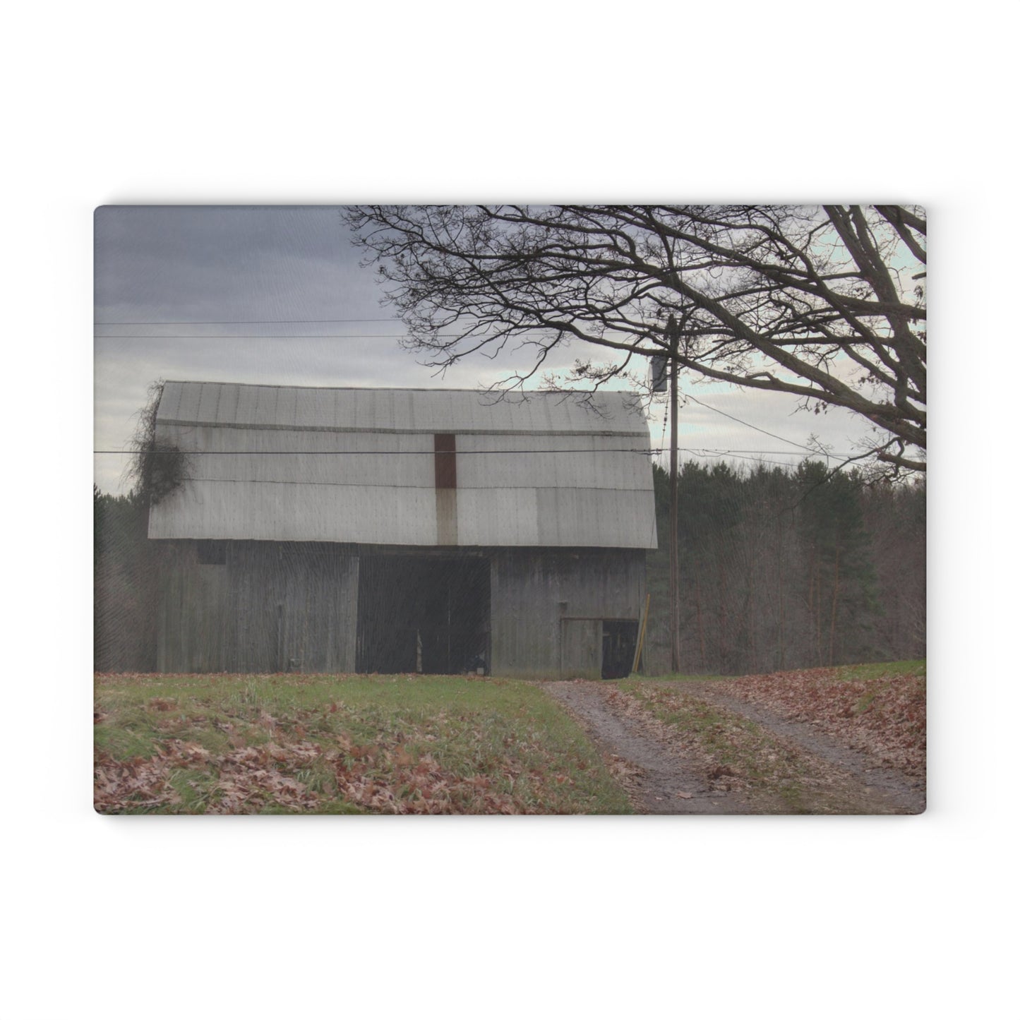 U R There Photography Grey Horse Barn Rustic Farmhouse Tempered-Glass Cutting Board