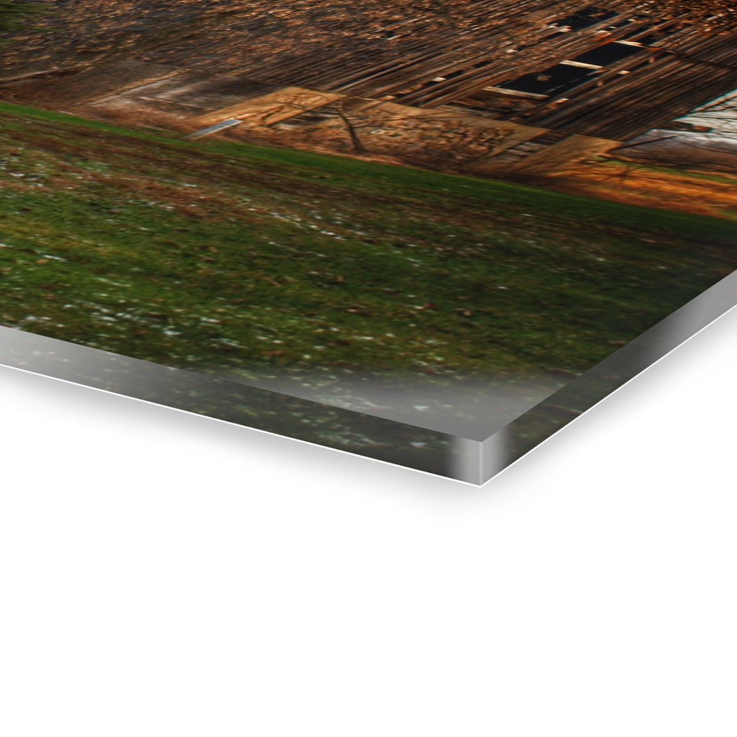 U R There Photography Melvin Grey Rustic Farmhouse Acrylic Wall Print