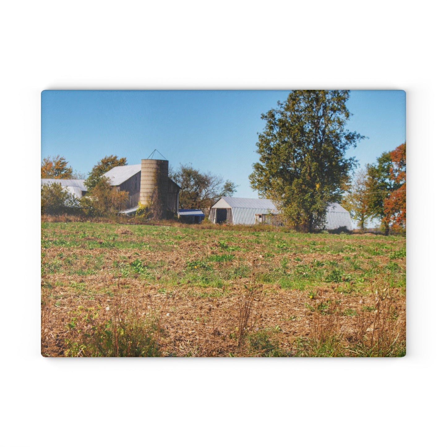 U R There Photography Freiberger Road Greys Rustic Farmhouse Tempered-Glass Cutting Board