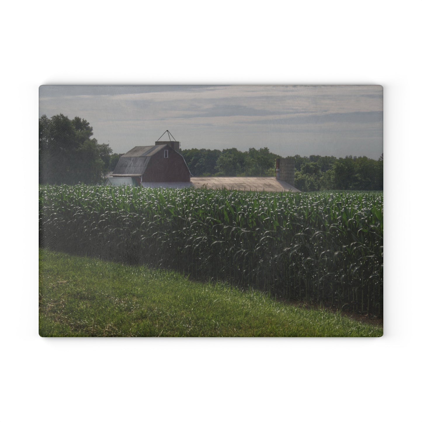 Barn Boutique Rustic Tempered-Glass Cutting Board| Above the Corn on Piersonville Road I