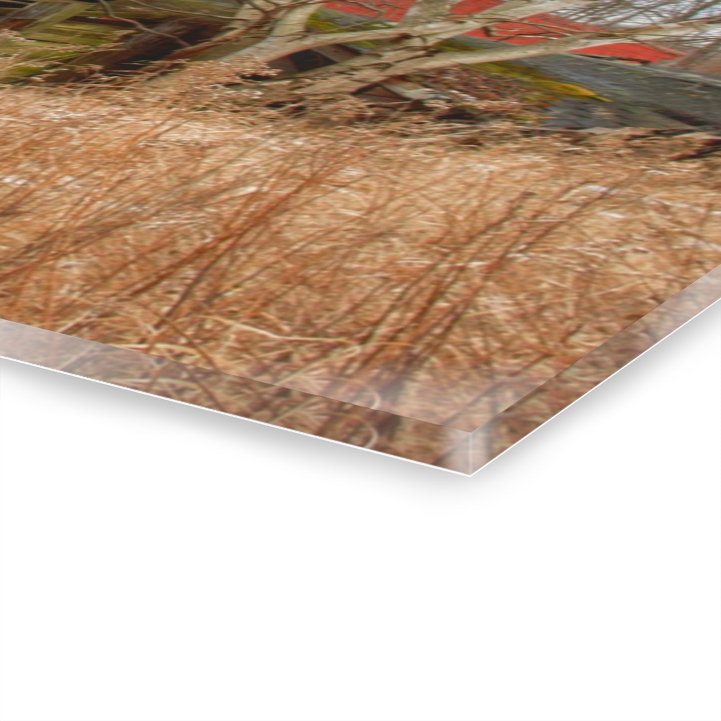 U R There Photography North Five Lakes Road Red Rustic Farmhouse Acrylic Wall Print