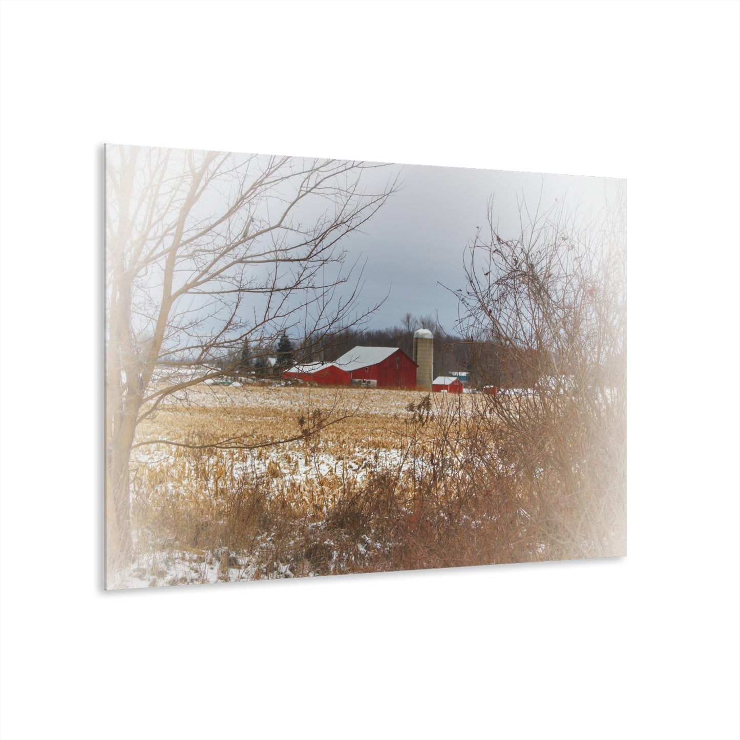 U R There Photography Brook Road Red in Winter Rustic Farmhouse Acrylic Wall Print